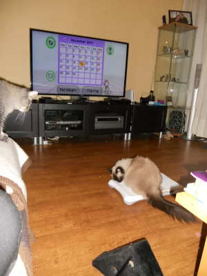 DSCN2320.webp