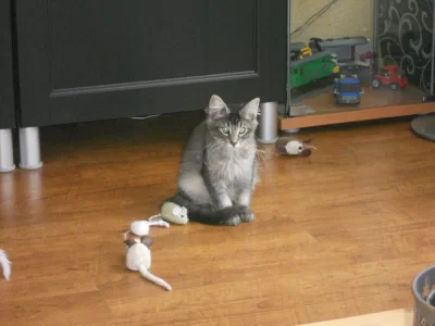 DSCN1961.webp