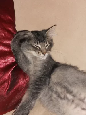 DSCN1996.webp