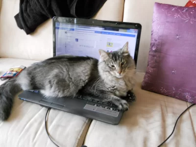 DSCN2420.webp