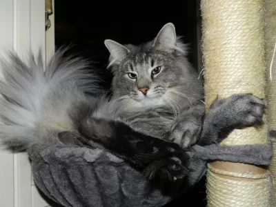 DSCN4861.webp