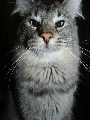 DSCN3970.webp