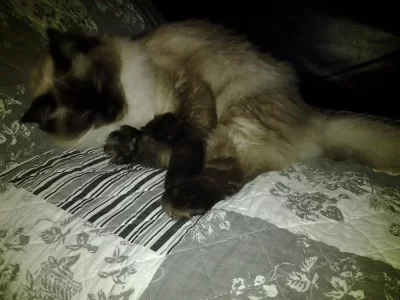 20131130_185522.webp
