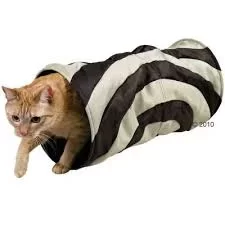 images.webp