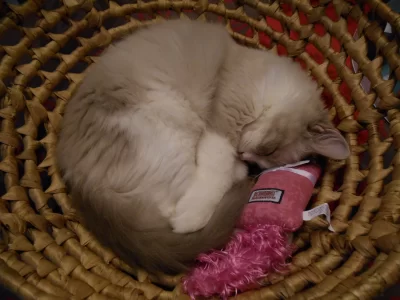 DSCN0549.webp