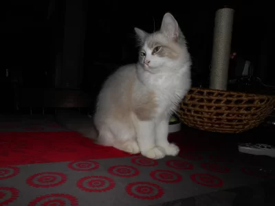 DSCN0565.webp