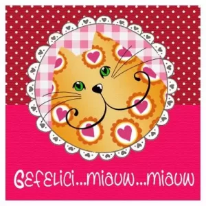 gefelici miauw miauw.webp