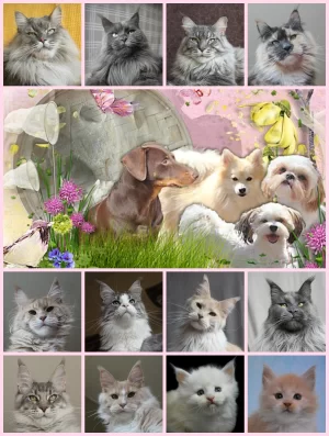 Family (3).webp