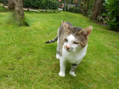 DSCN2801.webp