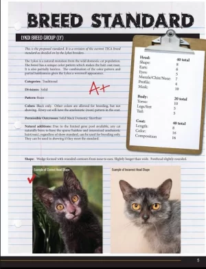 rasstandaard Lykoi 1.webp