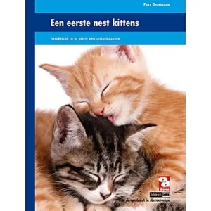Een eerste nest kittens