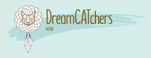 dreamlogo.webp