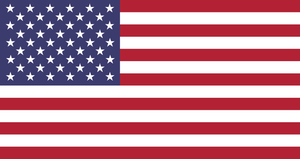 united-states-of-america-flag-medium.png