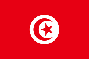 tunisia-flag-medium.png