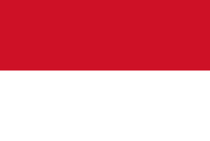 indonesia-flag-medium.png