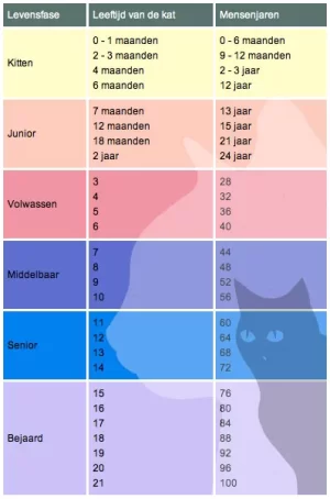 Leeftijdsgrafiek voor katten