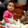 Hailey