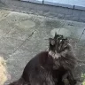 Duska
