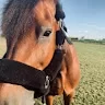 Katjessgucci