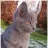 Tinus
