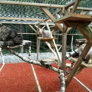 Maudje Boven