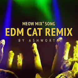 Meow Mix Song | EDM Cat Remix by Ashworth - YouTube