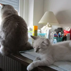 Bones n Saphira 20140814