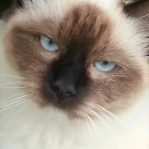 Missy1