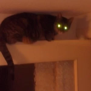20141021_222131_Android
