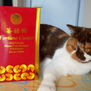 Fortune Cookie met 'haar' koekjes.