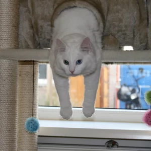 Casper hangt wat rond.