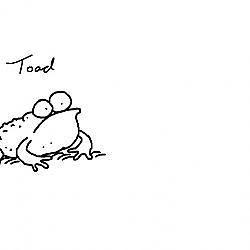 Simon Draws: Toads and Frogs
