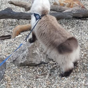 Op een onbewoond eiland