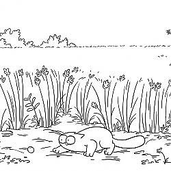 Field Trip - Simon's Cat