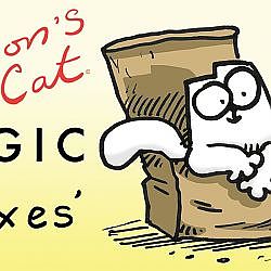 Simon's Cat Logic - Why Do Cats Love Boxes?!