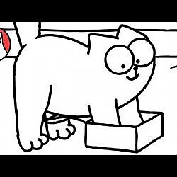 Little Box - Simon's Cat