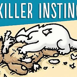 Simon's Cat Logic - Why Do Cats Like Hunting?