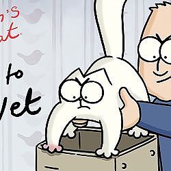 Simon's Cat 'Off to the Vet' : Preview