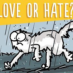 Do Cats Really Hate Water? - Simon's Cat Logic