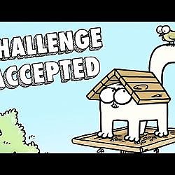 Camouflage Challenge: Simon's Cat
