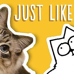 Just Like My Cat - Simon's Cat