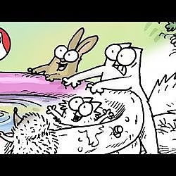 Summer Time - Simon Paints