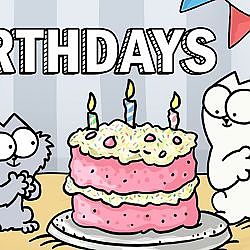 Birthdays - Simon's Cat | GUIDE TO