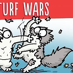 Territorial Behaviour! - Simon's Cat | LOGIC