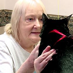 This Friendly Kitty Loves To Brighten People's Days During Hospital Visits