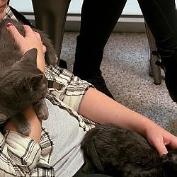 Jackson Galaxy's Sure These Two Kittens Will Be Adopted Soon | My Cat From Hell
