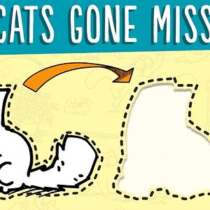 Tips to find your missing cat! - Simon's Cat | LOGIC #17