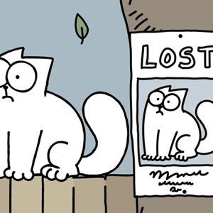 MISSING CAT COLOUR SPECIAL - FULL FILM!