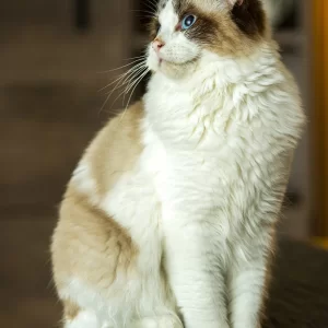 Mijn knapperd Nusa