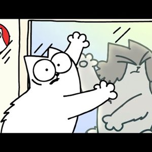 CAT FIGHT (Colour Special!)